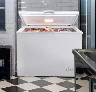 Freezer Repair Abu Dhabi